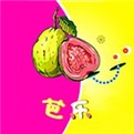 芭乐app站长统计安装