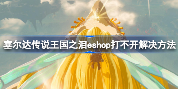 塞尔达传说王国之泪eshop打不开怎么办 塞尔达传说王国之泪eshop打不开解决教程