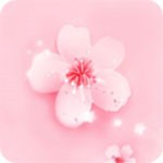 粉色ABB苏州晶体