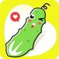 抖抈短视频app软件下载大全