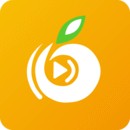 yellow免费观看完整版直播最新版