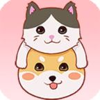 阿猫阿狗_logo